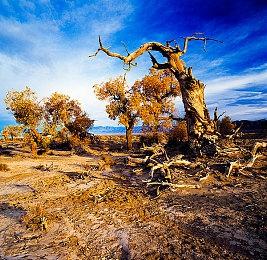【第一视角】《永劫无间》职业联赛NBPL常规赛6月16日
